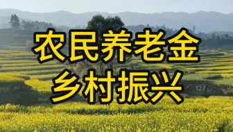 给农民发养老金，乡村振兴