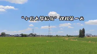 乡村美育线上艺术季第十一期 02：小农夫帮“稻”忙第一天——湖南一禾·箭楼村自然与人文艺术创新教育园