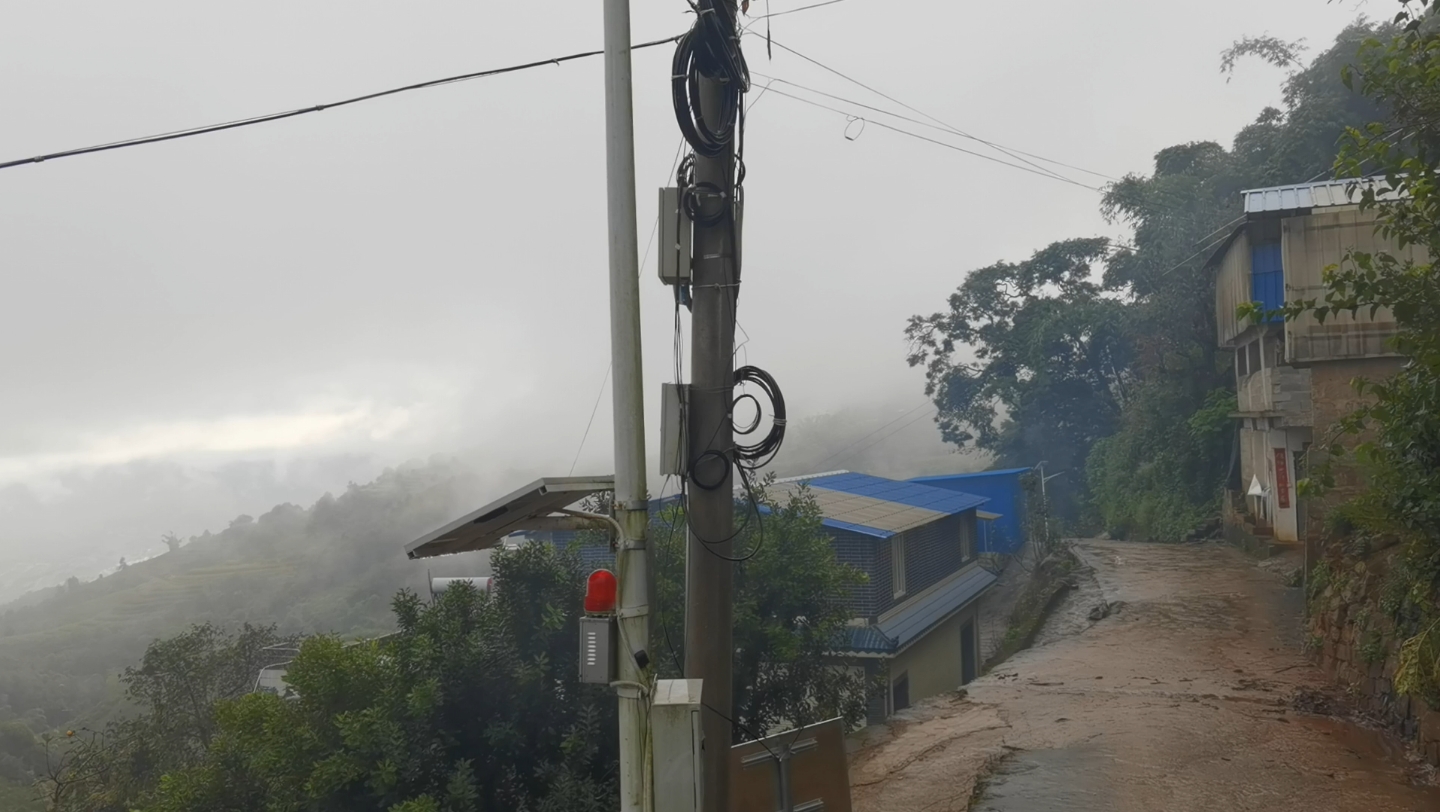 国庆茶山行,看茶山茶地的生态环境,为来年春茶做准备哔哩哔哩bilibili