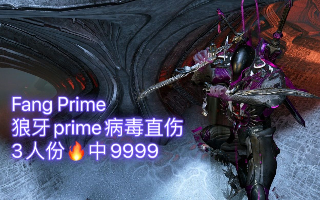 [warframe]狼牙prime 病毒直伤钢铁火中9999 2kw直伤!网络游戏热门视频