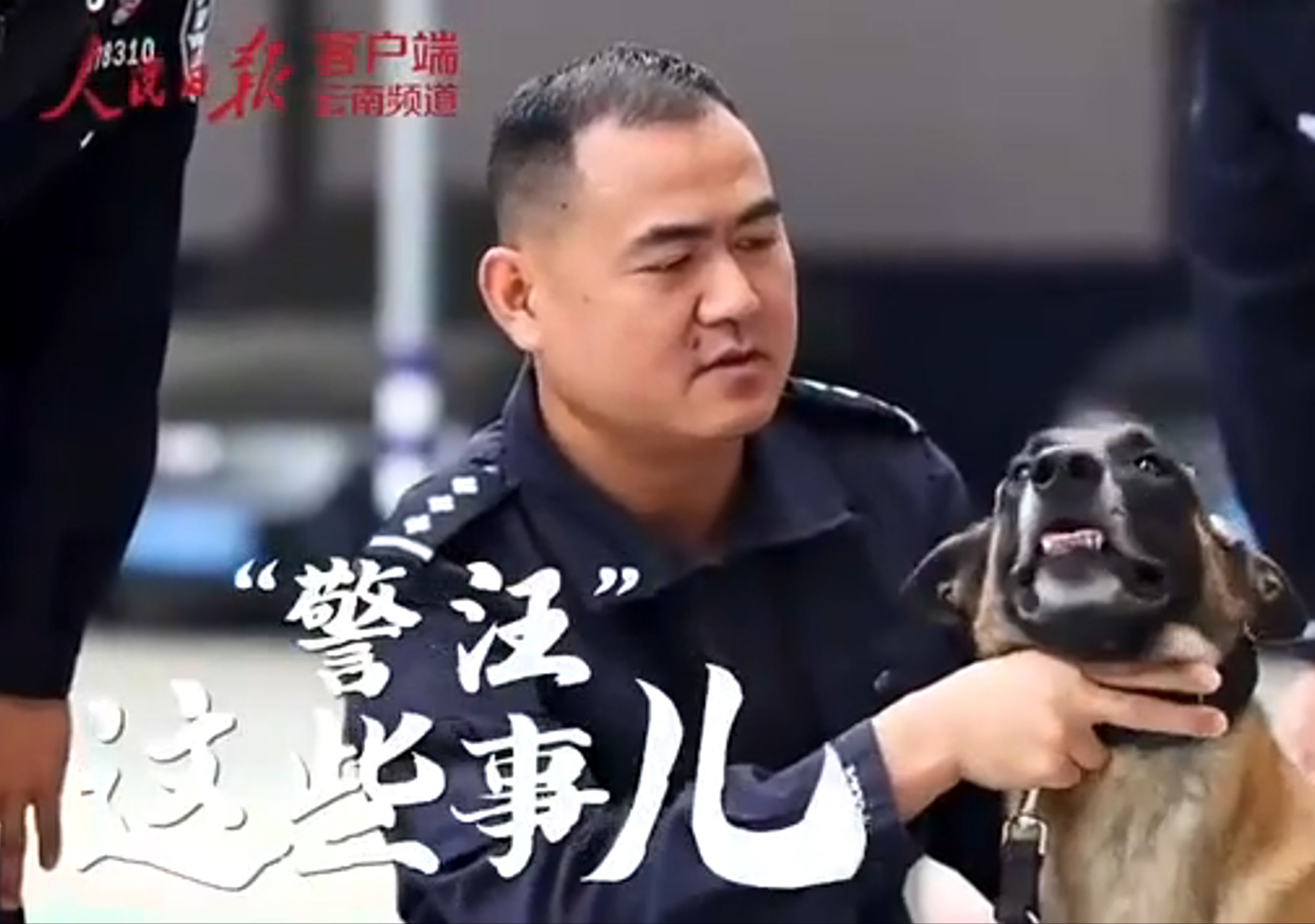 “警汪”这些事儿