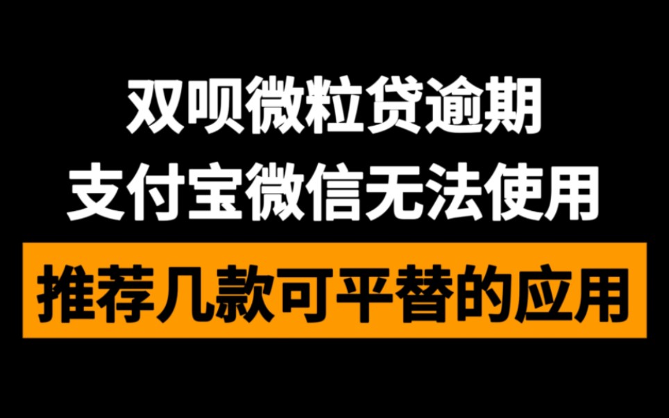 双呗网商贷微粒贷逾期,推荐几款可平替支付宝和微信的应用哔哩哔哩bilibili