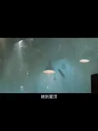 Tải video: 异形