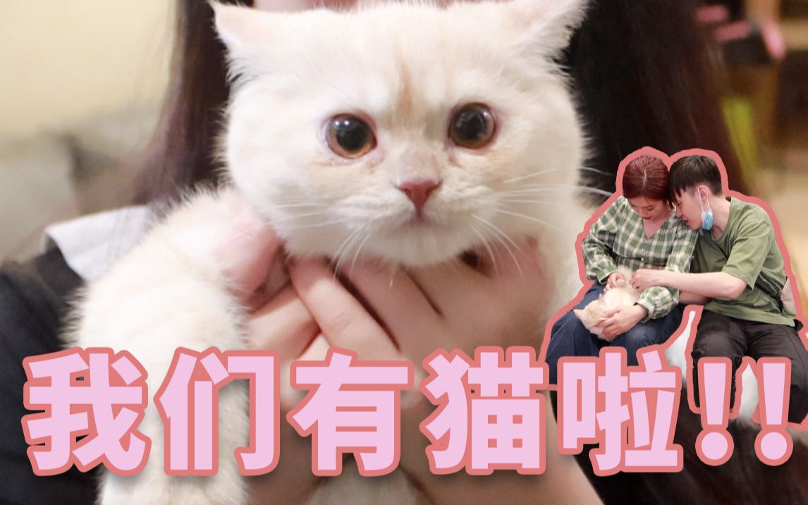 接猫VLOG|我们有猫啦!内含老司机亲授吸猫技巧哔哩哔哩bilibili