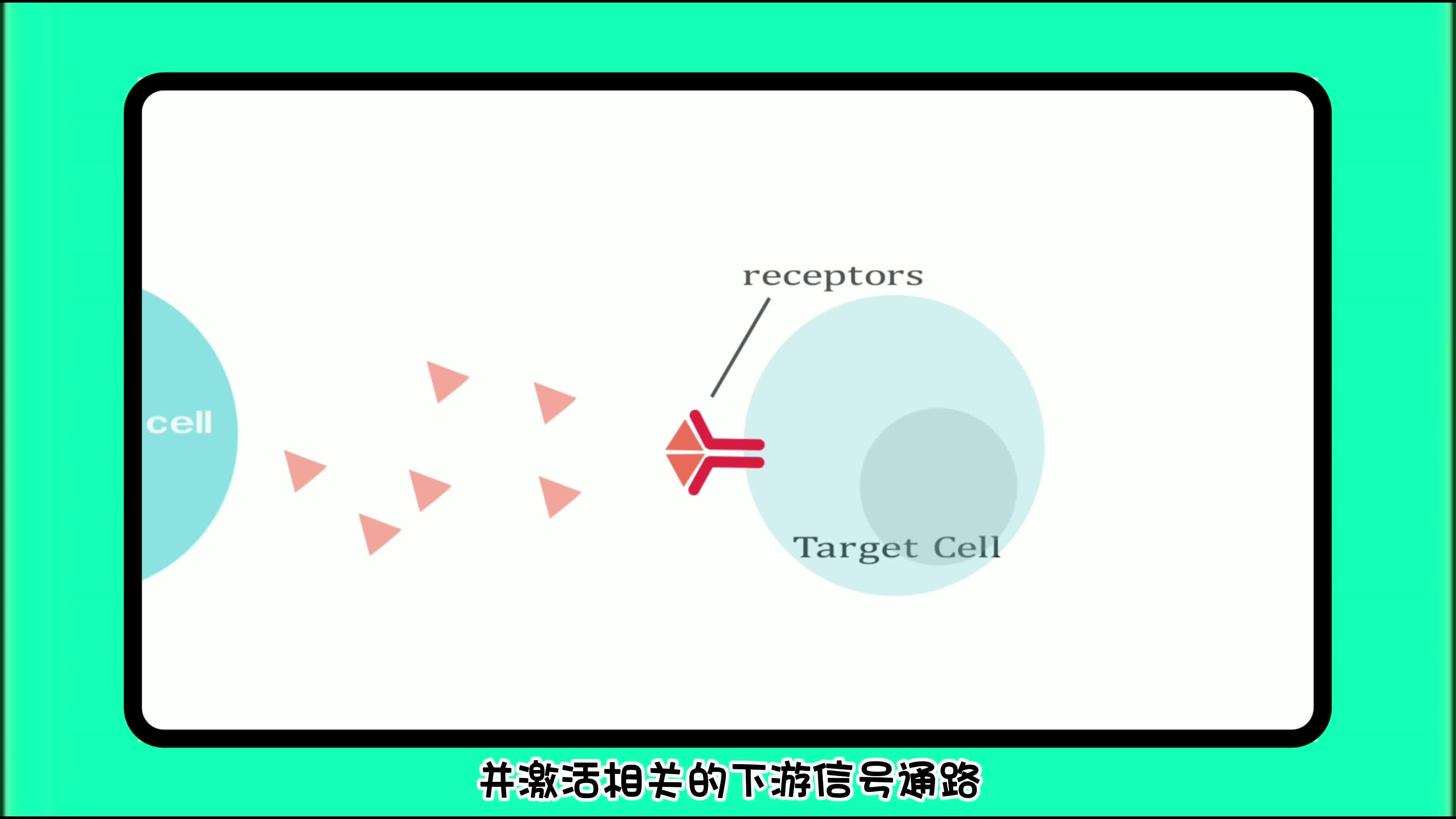 关于细胞因子&生长因子,你了解多少?哔哩哔哩bilibili