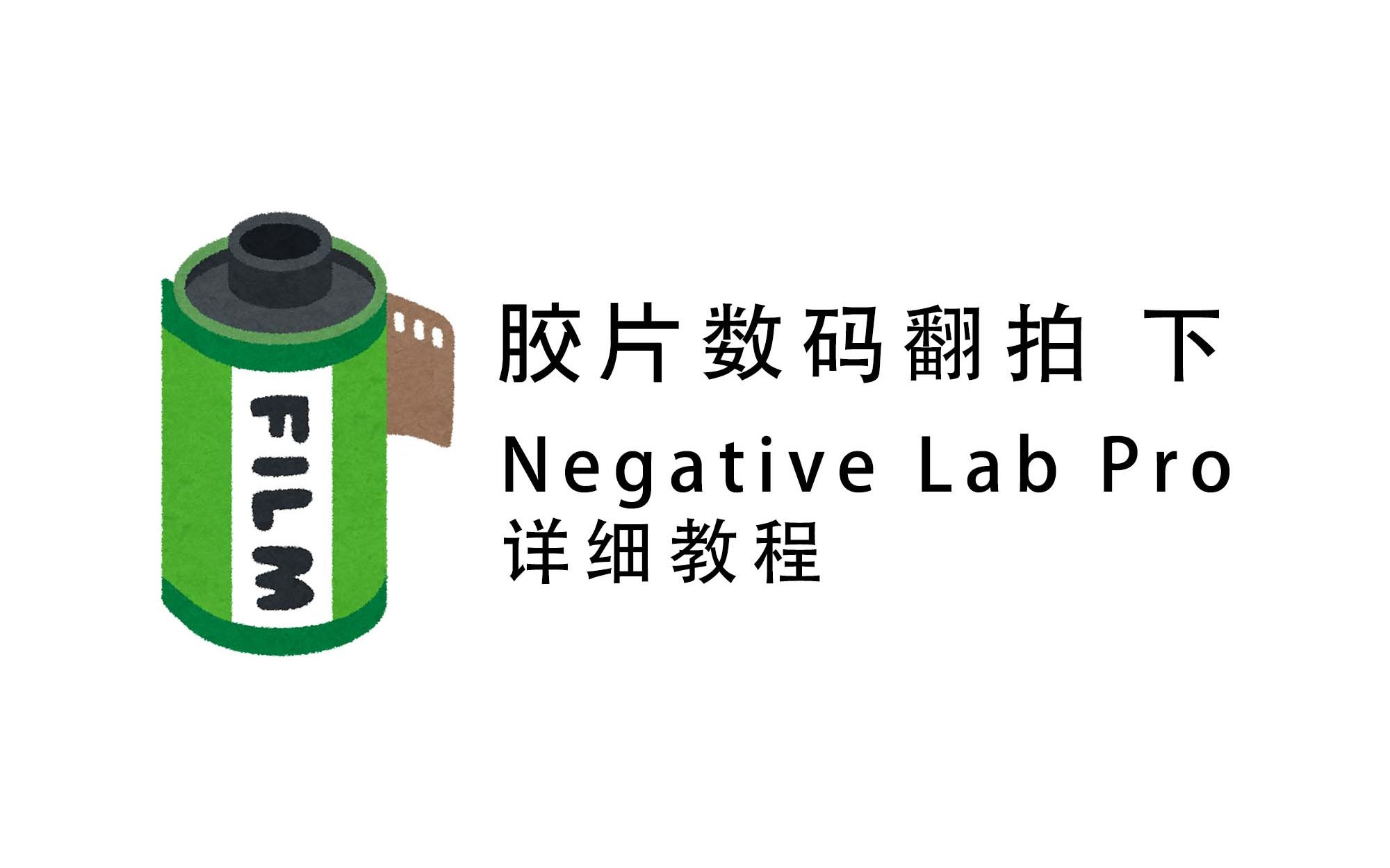 [图]老少皆宜的Negative Lab Pro超详细教程