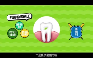 女子力科学社 哔哩哔哩 Bilibili