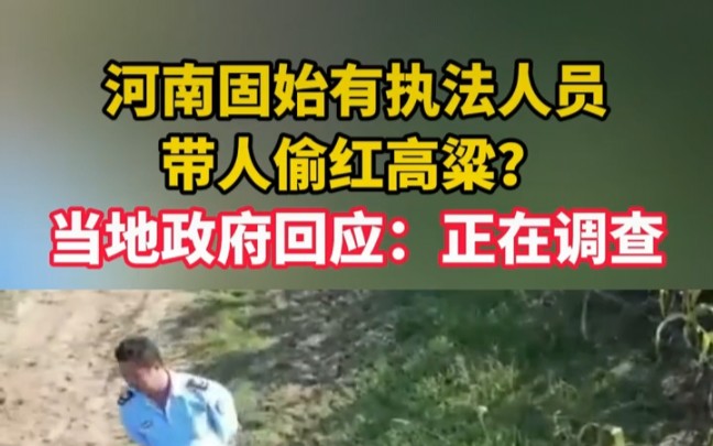 [图]10月21日河南信阳固始县三河尖镇，执法人员带人偷红高粱。无人机拍下