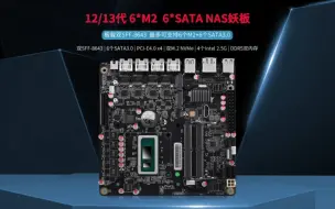 Download Video: 【新品】12代/13代 6*M2 6*SATA NAS妖板上市