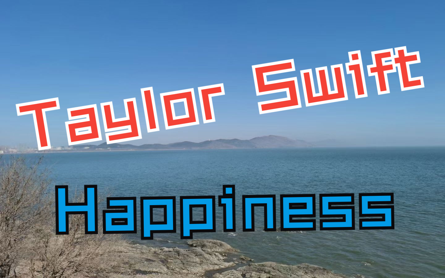 Happiness  Taylor Swift | 翻译+词义哔哩哔哩bilibili