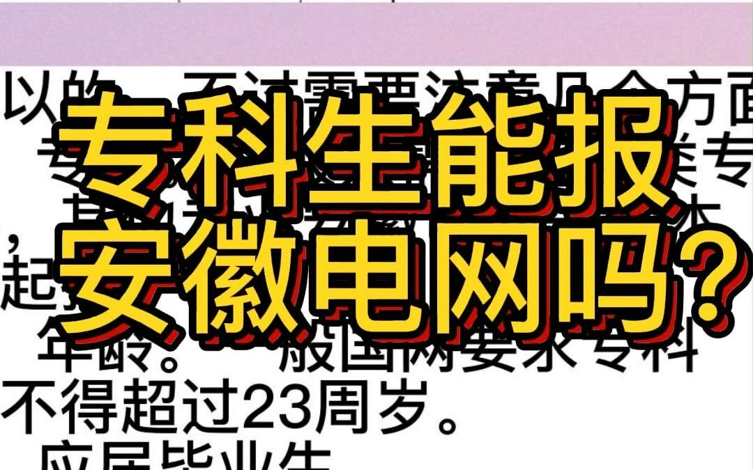 专科学历是否能报安徽电网哔哩哔哩bilibili