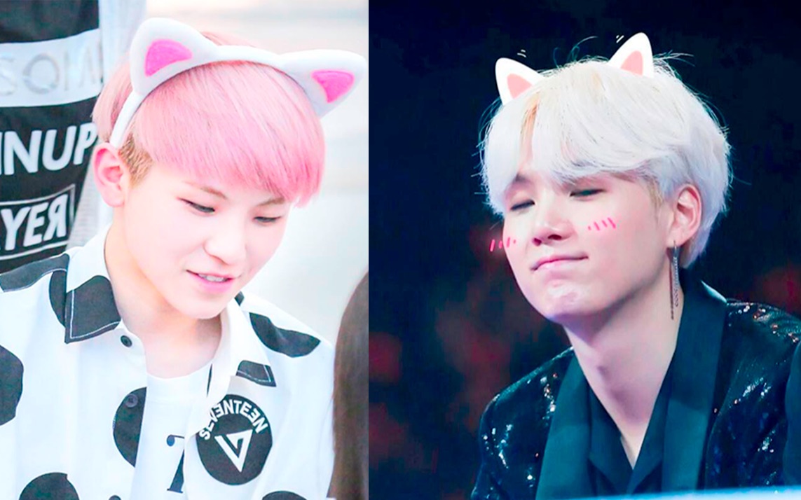 活动  【suga x woozi】探秘猫科动物