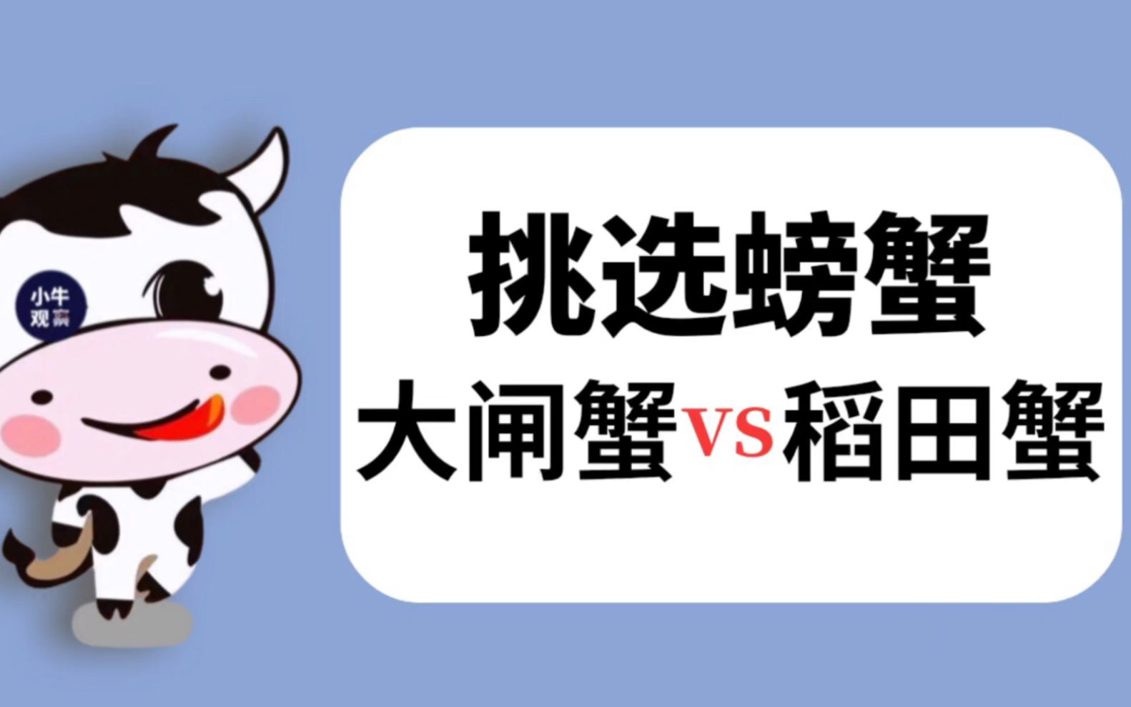 如何挑选优质的蟹,大闸蟹和稻田蟹,都有哪些区别?哔哩哔哩bilibili