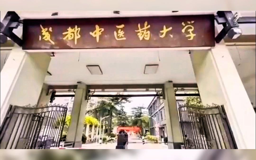 成都中医药大学中医师承 在线招生啦!哔哩哔哩bilibili