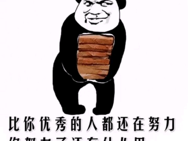 搞笑的表情包,二