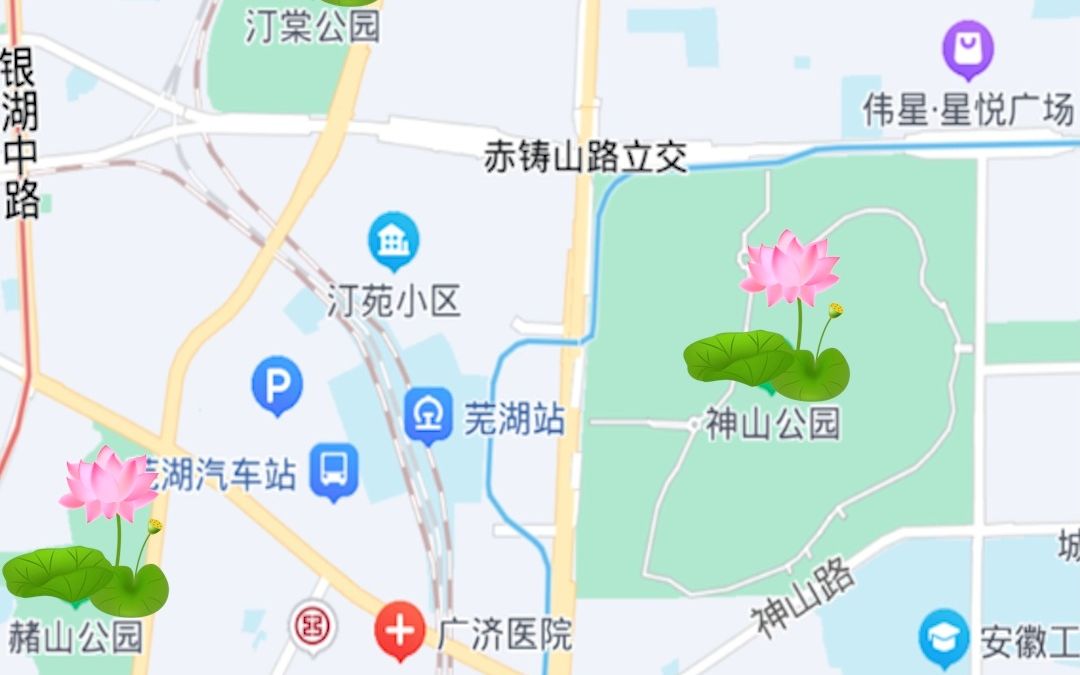 [图]最芜湖·二十八期｜江城赏荷观莲地图