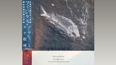 宇佐美恵子Keiko Usami - Manhattan Groove (Full Album) (1983)_哔哩