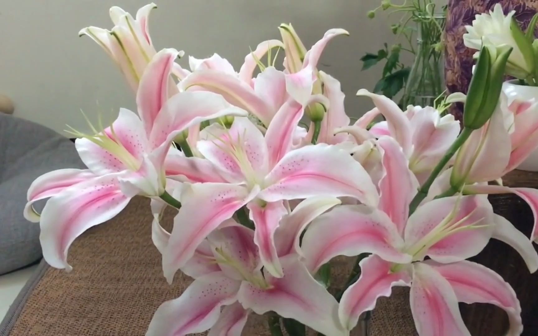 鲜花:如此这般轻轻松松可养15天以上,"马龙"百合!(下)