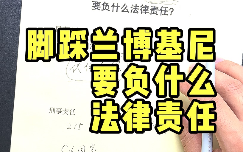 脚踩兰博基尼的未成年男生,要负什么法律责任?哔哩哔哩bilibili