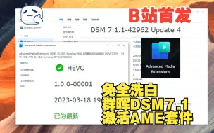 Download Video: 国内首发黑群晖DSM7.x半洗白状态 免全洗白 破解 激活Advanced Media Extensions 3.0/3.1或以上版本套件 TANK电玩教程