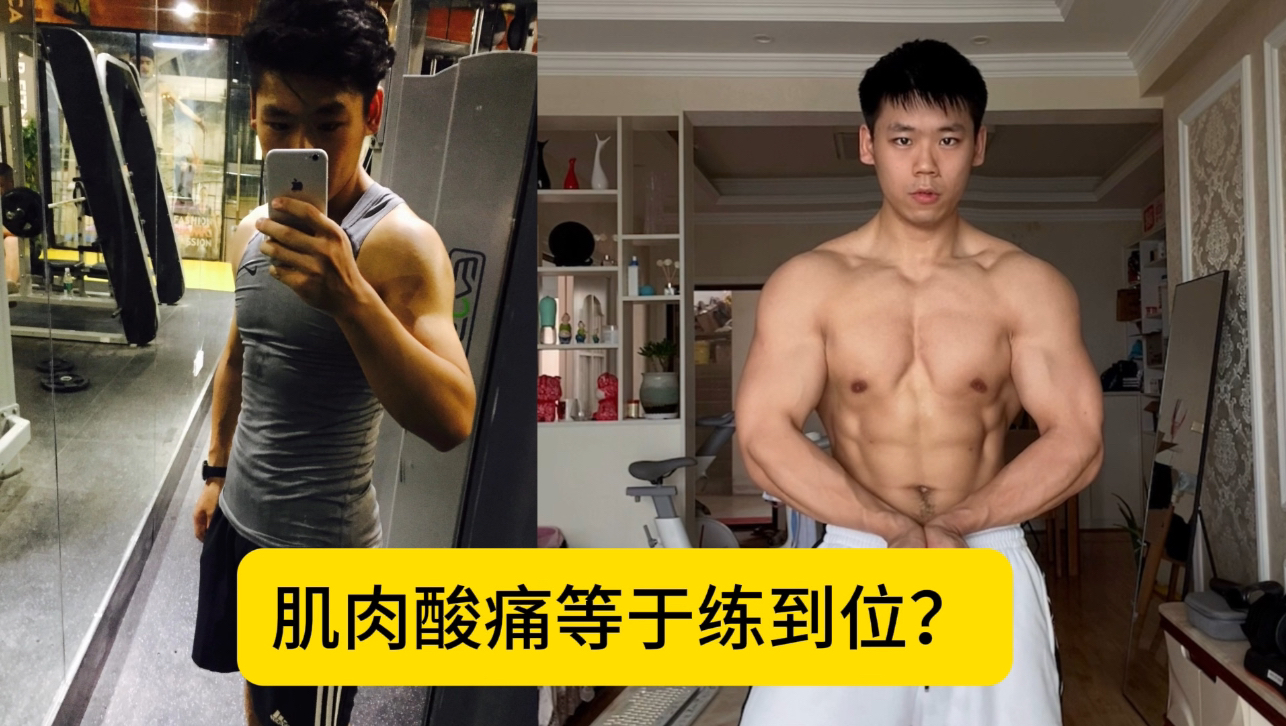 肌肉酸痛等于练到位吗?如何高效训练进步更快?哔哩哔哩bilibili