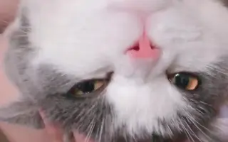 抛媚眼眨眼 搜索结果 哔哩哔哩 Bilibili