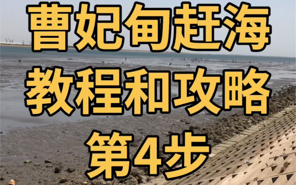 曹妃甸赶海详细教程路线地点及攻略第5步如何挖蛤哔哩哔哩bilibili