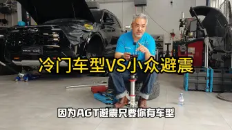 Download Video: 冷门车型VS小众避震