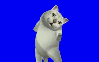 猫 搜索结果 哔哩哔哩 Bilibili