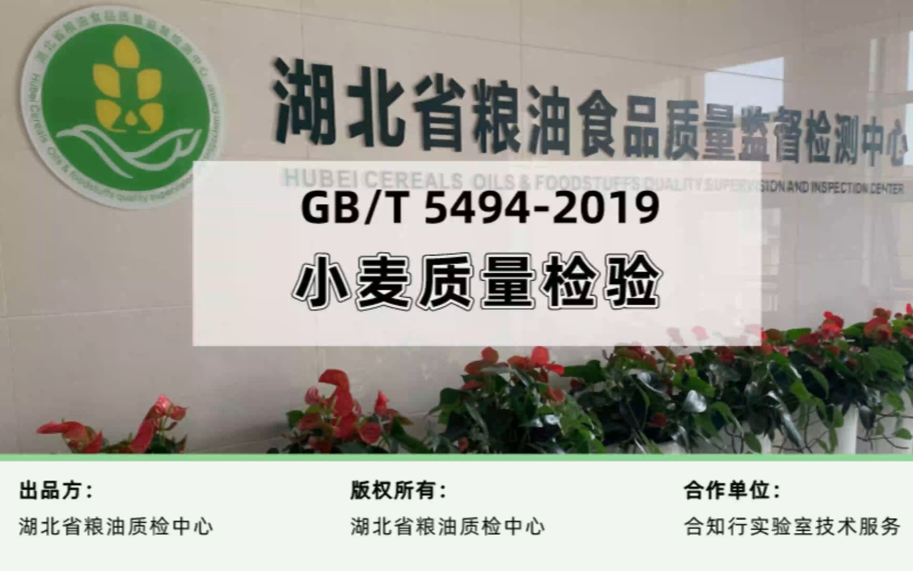 小麦杂质、不完善粒难判定?粮油检测官方讲解视频来助力!哔哩哔哩bilibili