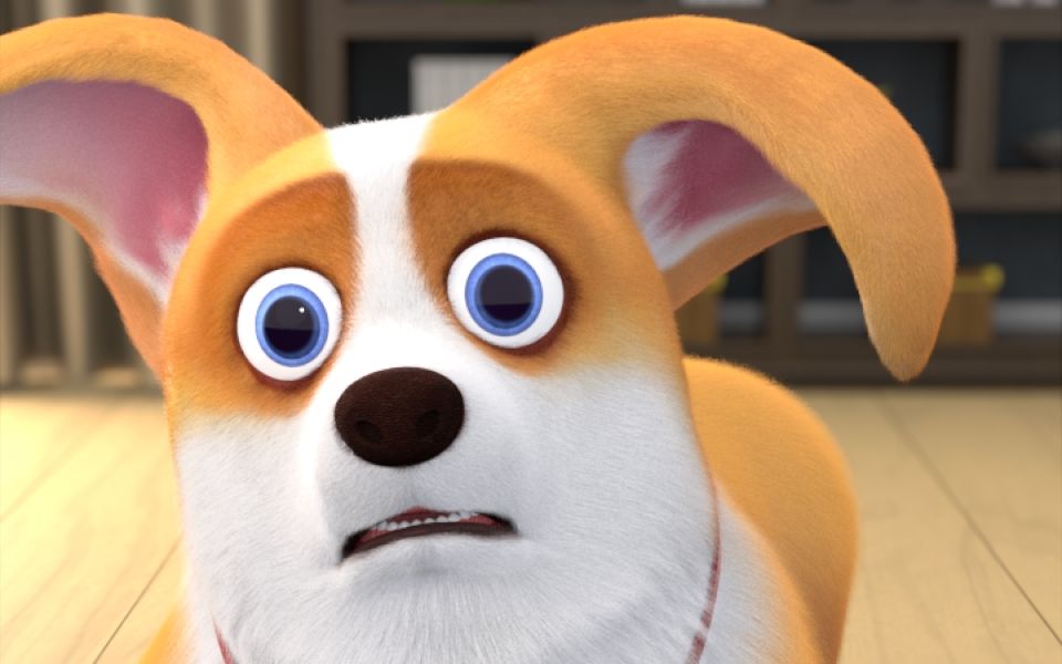 【飞狗moco】我走过最长的路,就是铲屎官的套路 ( 0777 6777`