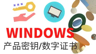 如何找到并保存WINDOWS10的产品证书/密钥|找到OEM数字证书
