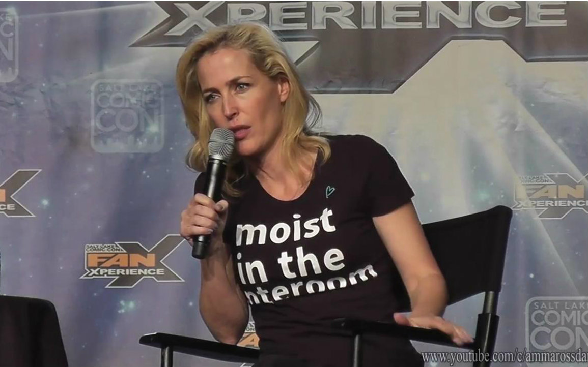 Gillian Anderson  Full PanelQ&A  FanX 2016哔哩哔哩bilibili