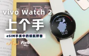 Download Video: vivo Watch2快速上手，能上网能打电话，续航还很强