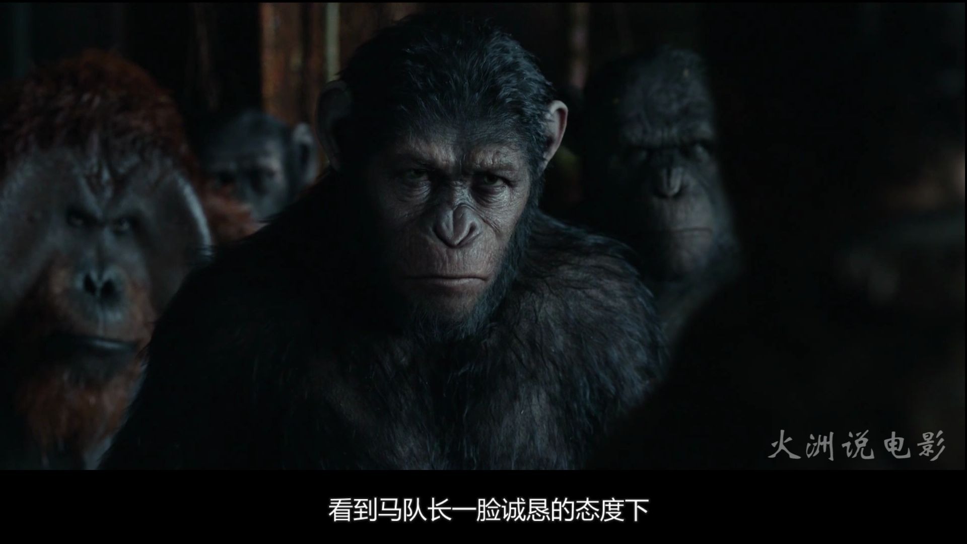 人猿大战2黎明之战图片