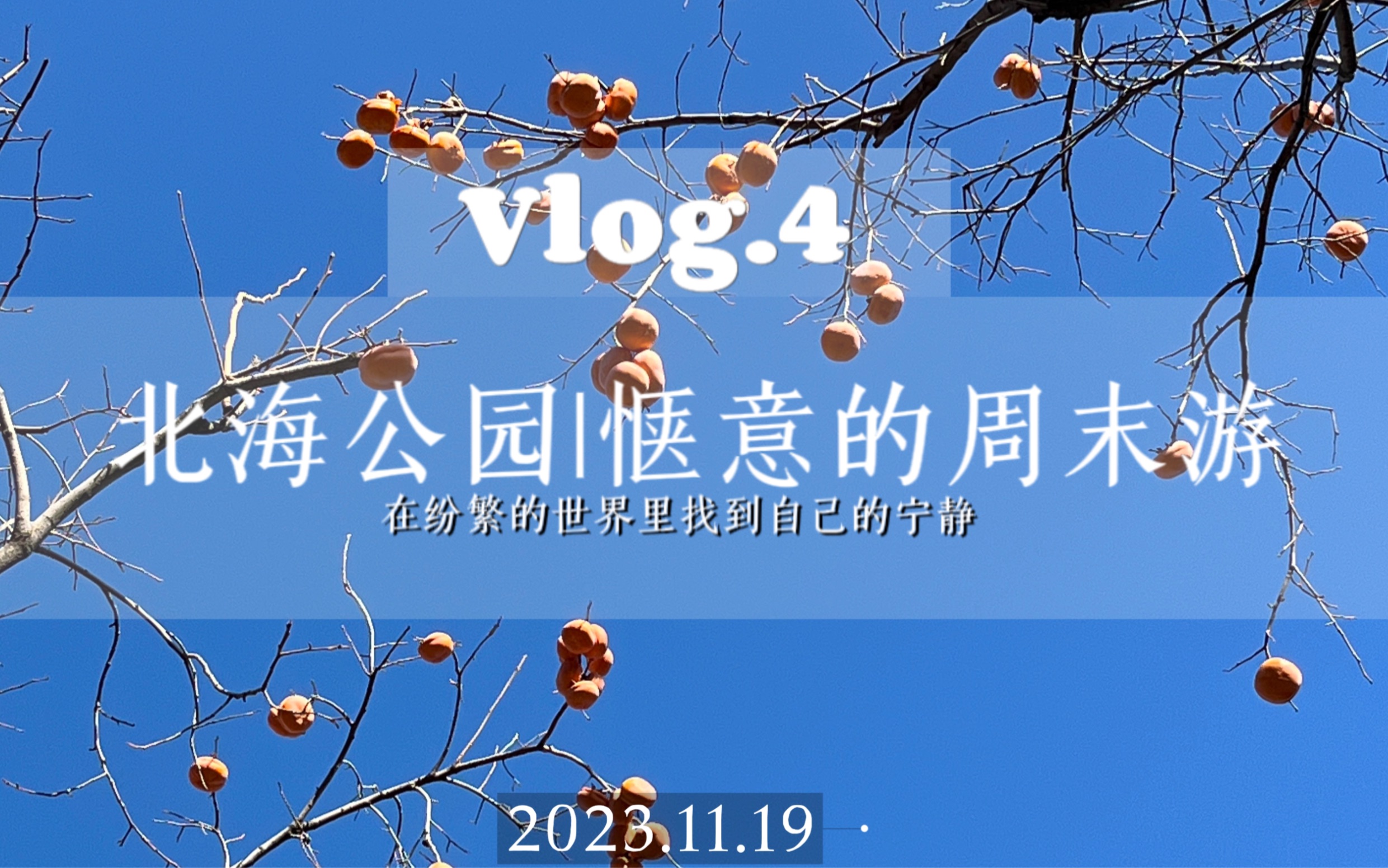 Vlog.4|北海公园 将惬意和松弛进行到底!哔哩哔哩bilibili