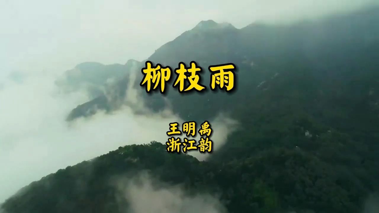 《柳枝雨》王明禹浙江韵哔哩哔哩bilibili