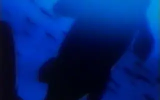 深海伝説meremanoid 搜索结果 哔哩哔哩 Bilibili