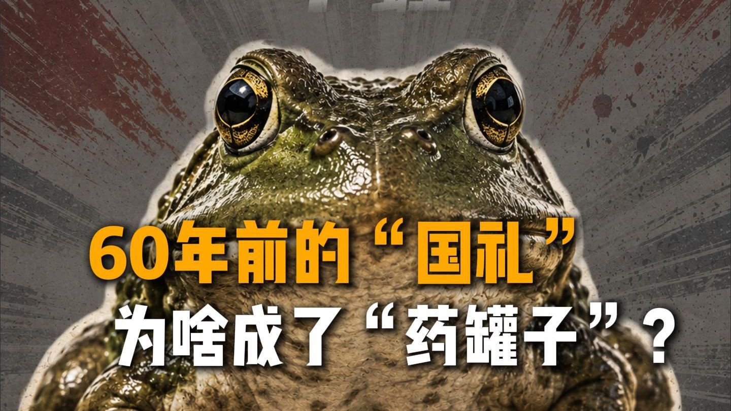 牛蛙以前是“国礼”，为何成了“药罐子”？