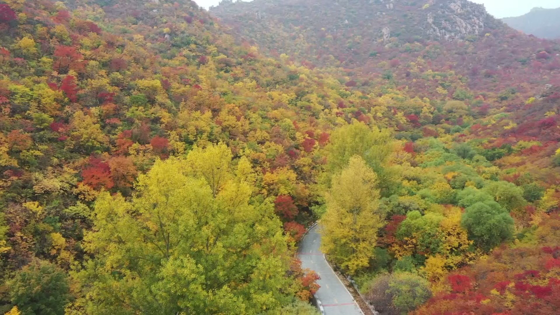 “北票故事”辽西绿岛大黑山景区哔哩哔哩bilibili