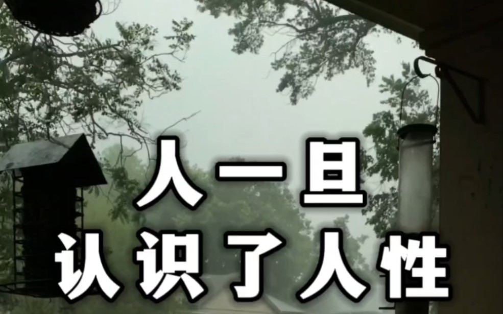 我们所处的社会目前就是这样,人性复杂,只要你真正了解人性那你就谁也
