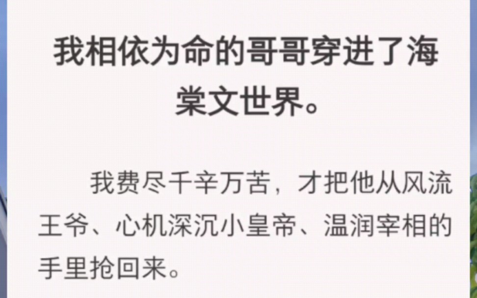 我相依为命的哥哥穿进了海棠文世界.我费尽千辛万苦,才把他从风流王爷、心机深沉小皇帝、温润宰相的手里抢回来.带哥哥回家的那天,他身上遍体鳞伤...