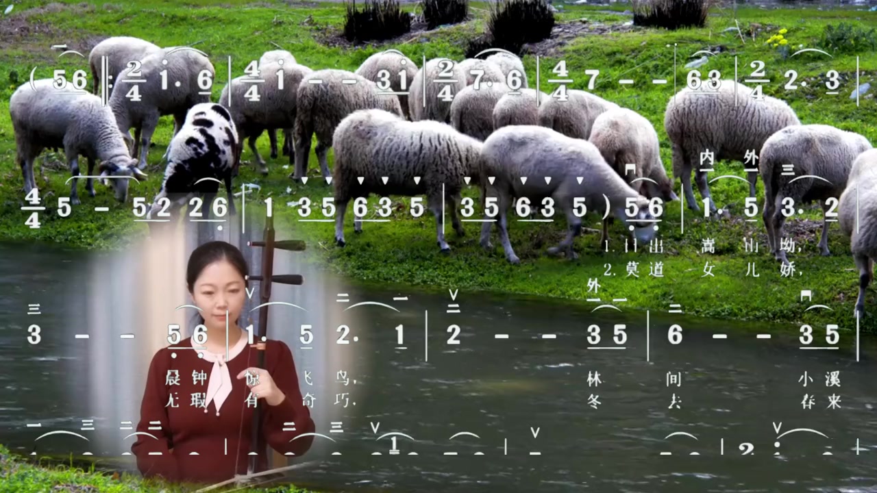 吴昊老师二胡独奏牧羊曲草地目的地婚礼牧场