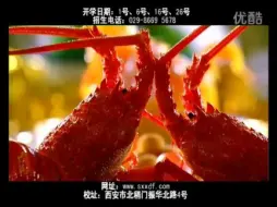 Download Video: 陕西新东方烹饪学校广告片