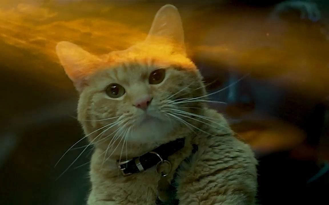 不要被可爱蒙蔽了双眼,可恶的噬元兽