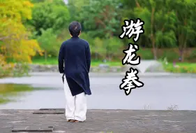 Video herunterladen: 太乙游龙拳完整版背面演练