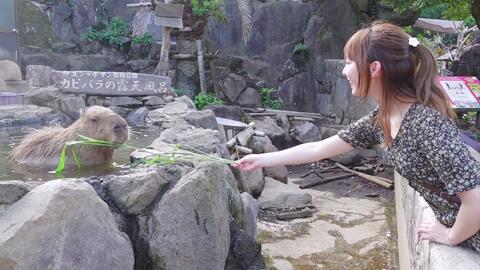 五天四晚的治愈伊豆旅行热海 伊东篇 Mako 中字 搬运 哔哩哔哩 Bilibili 五天四晚的治愈伊豆旅行热海 伊东篇 Mako 中字 搬运 哔哩哔哩 Bilibili