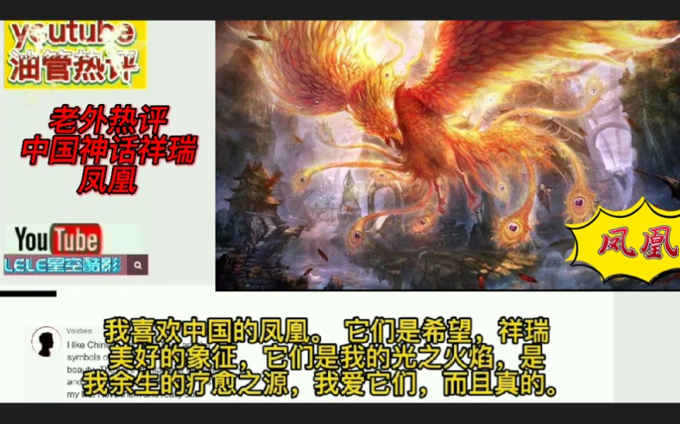 [图]歪果仁热评中国神话祥瑞凤凰，恍然大悟道：现在才知道中国凤凰有雌雄之分！