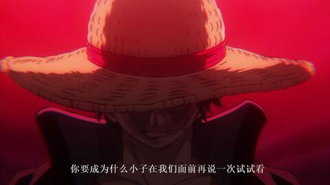 This is One Piece - 1015 - BiliBili