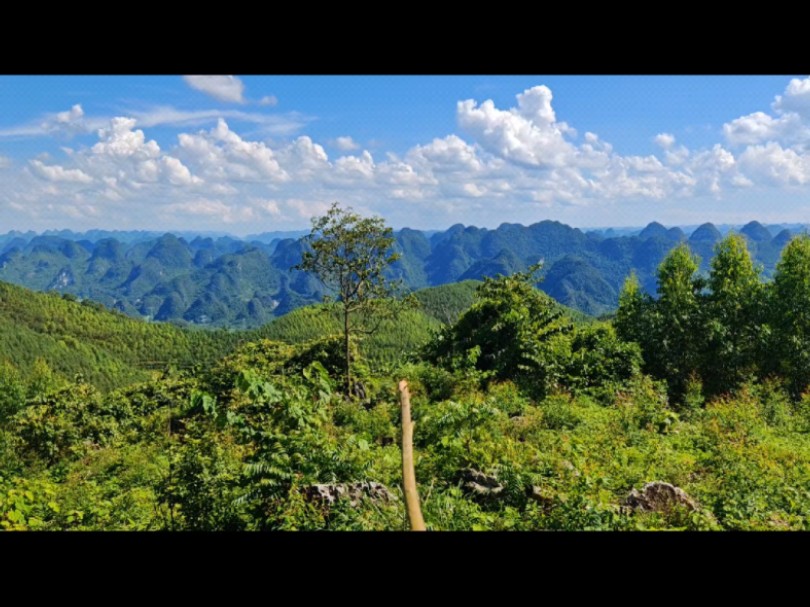 十个贵穴九个高,飞度昂昂压百僚 三千粉黛迎送远,八百烟花排两行哔哩哔哩bilibili